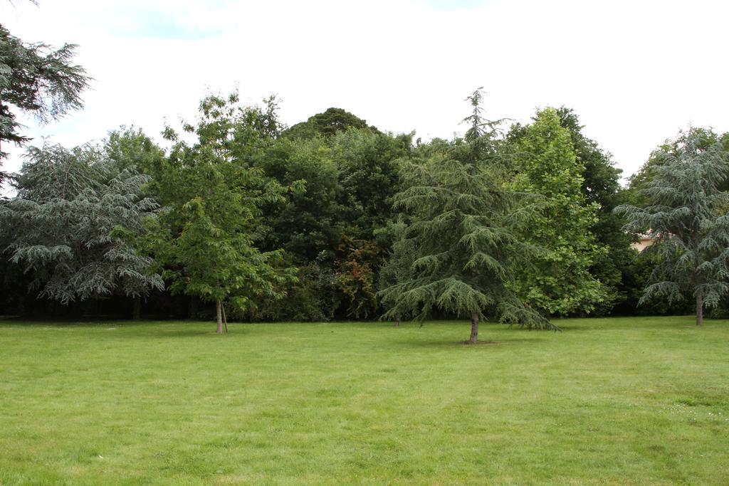 Chambres d'Hôtes Château du Bois de La Noe Bouaye Exterior foto